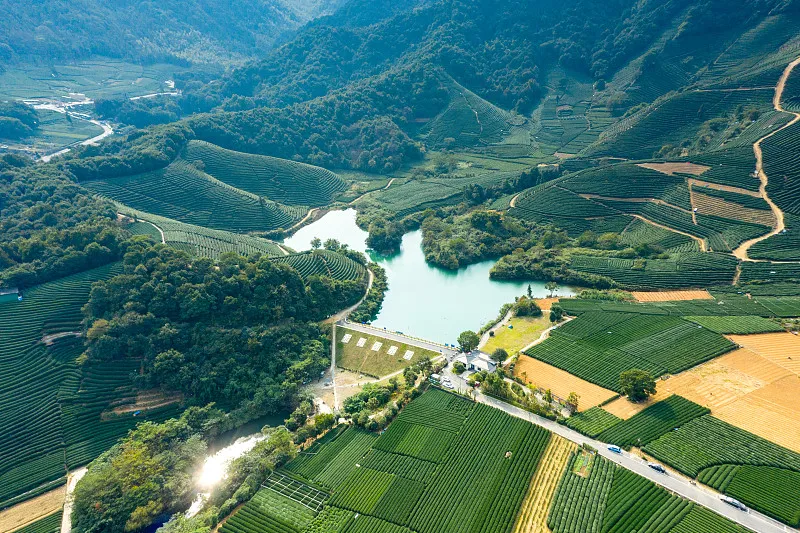 光明寺水庫賞春