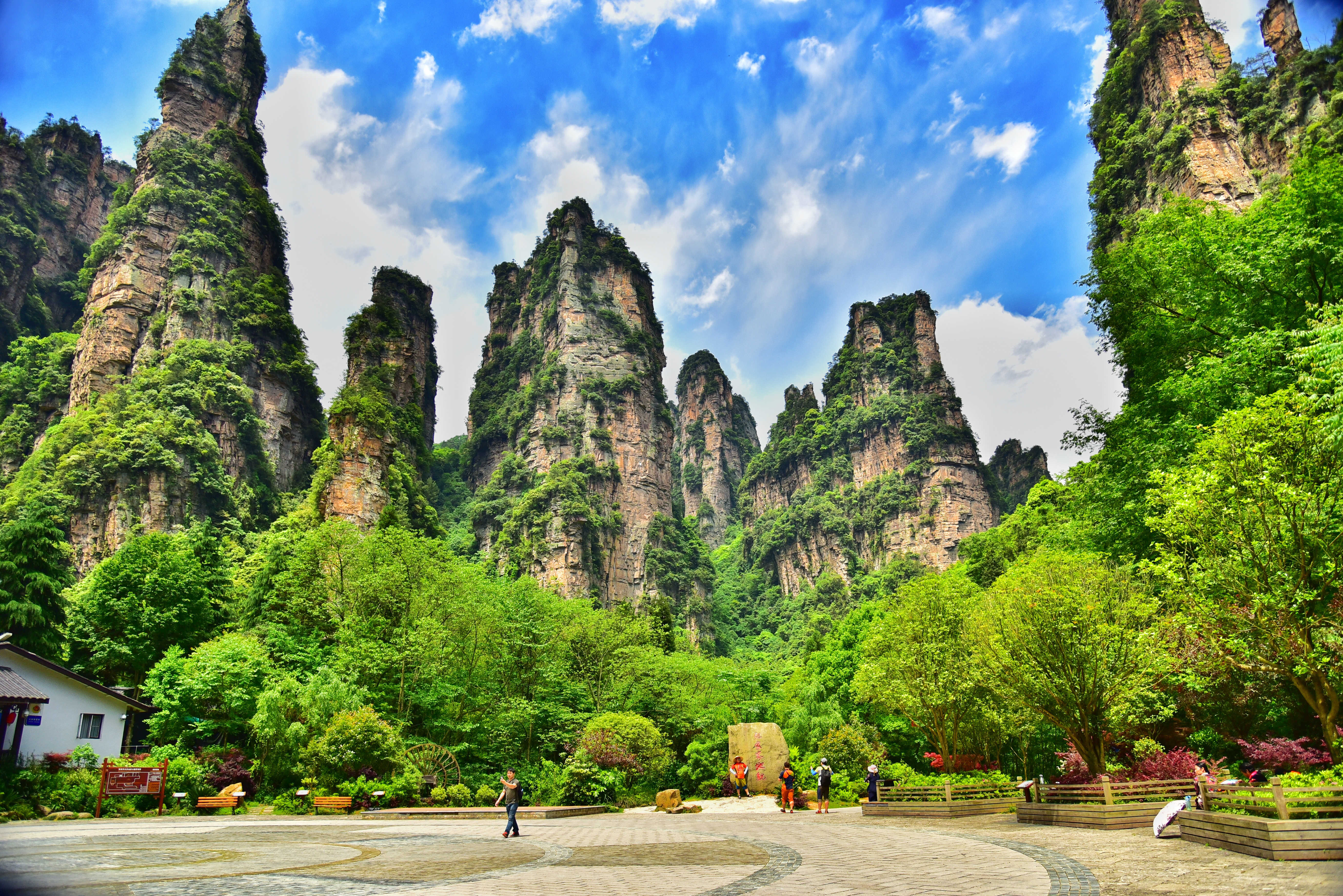 張家界國家森林公園